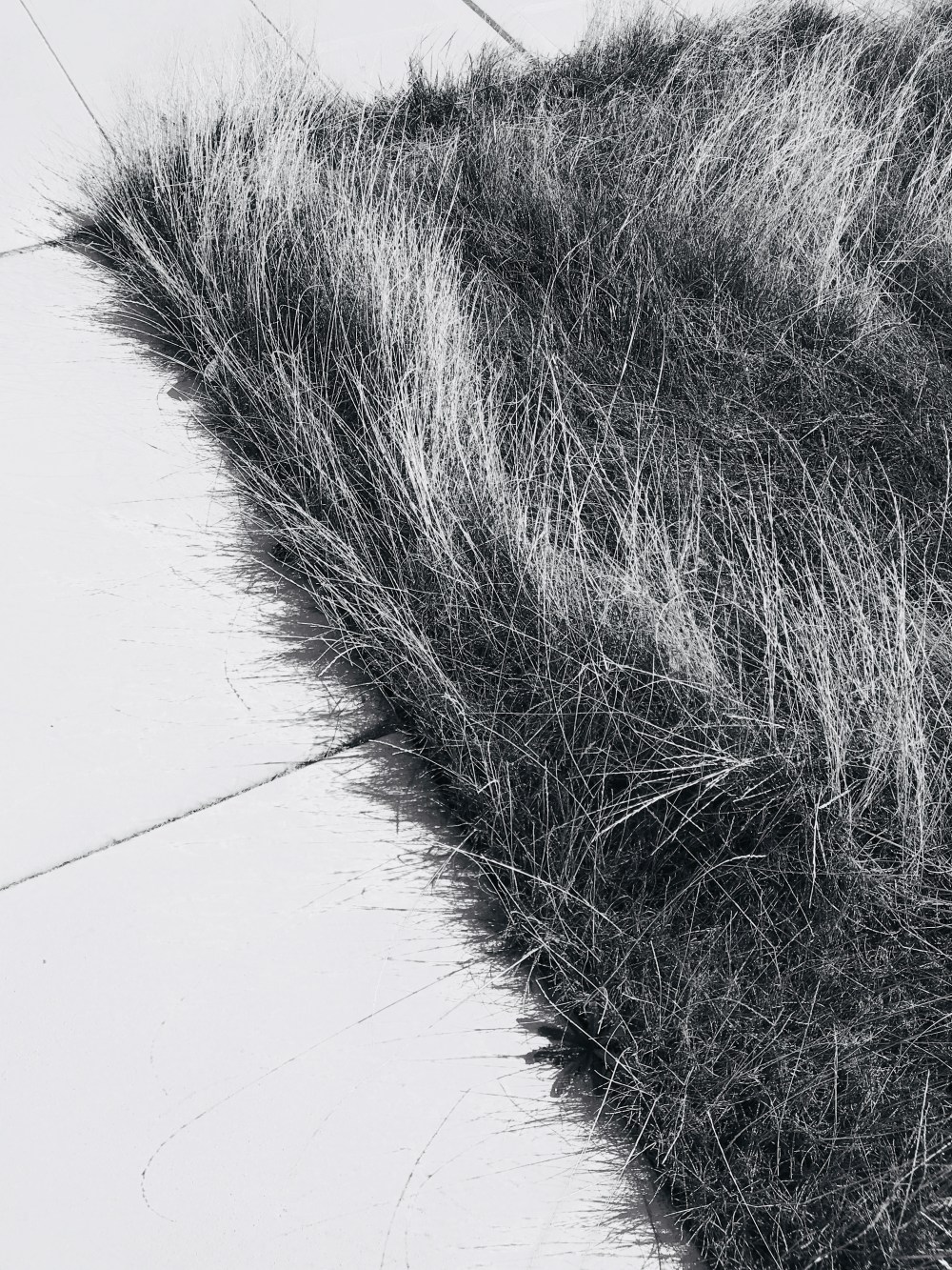 F971CAF4-FEB5-4A40-91E7-E8C040B9F9F9