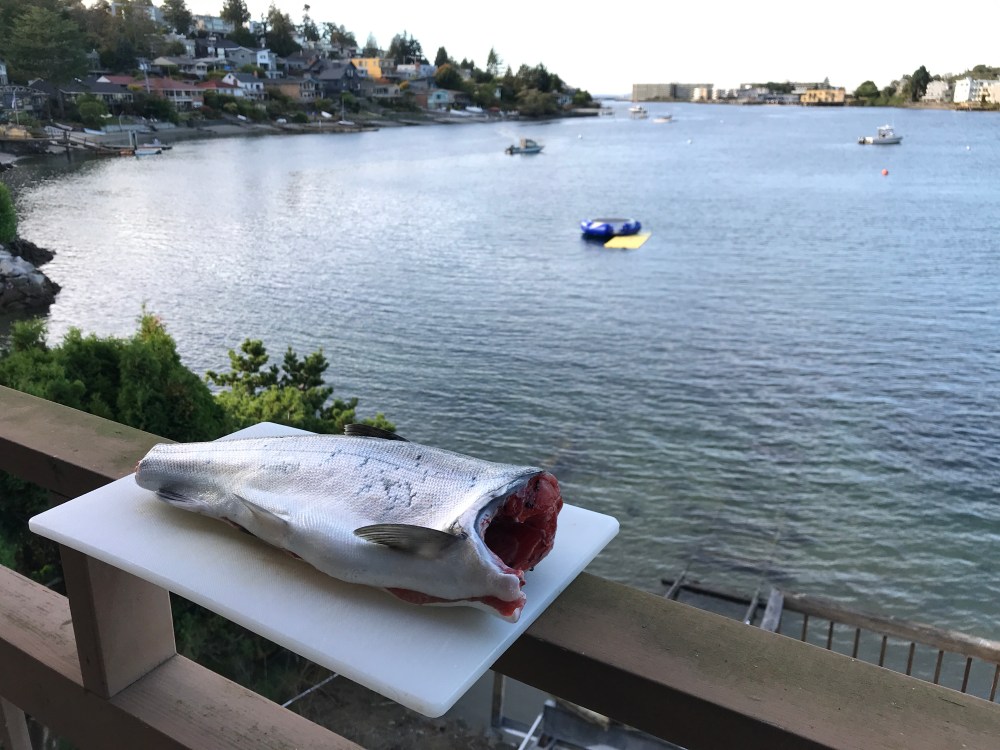 FB32D034-1EC7-4940-8A32-F5B77A133323