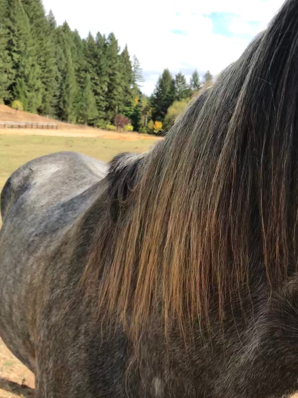 01CC5B7C-157E-41D9-9BFE-4385D96D8A77