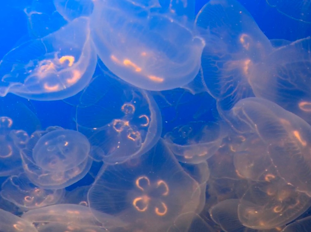 08CF15D7-8742-4697-A7EB-B25CB5774A39