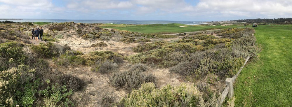 08FFE891-D7DE-42D2-9823-A46529EA82EE