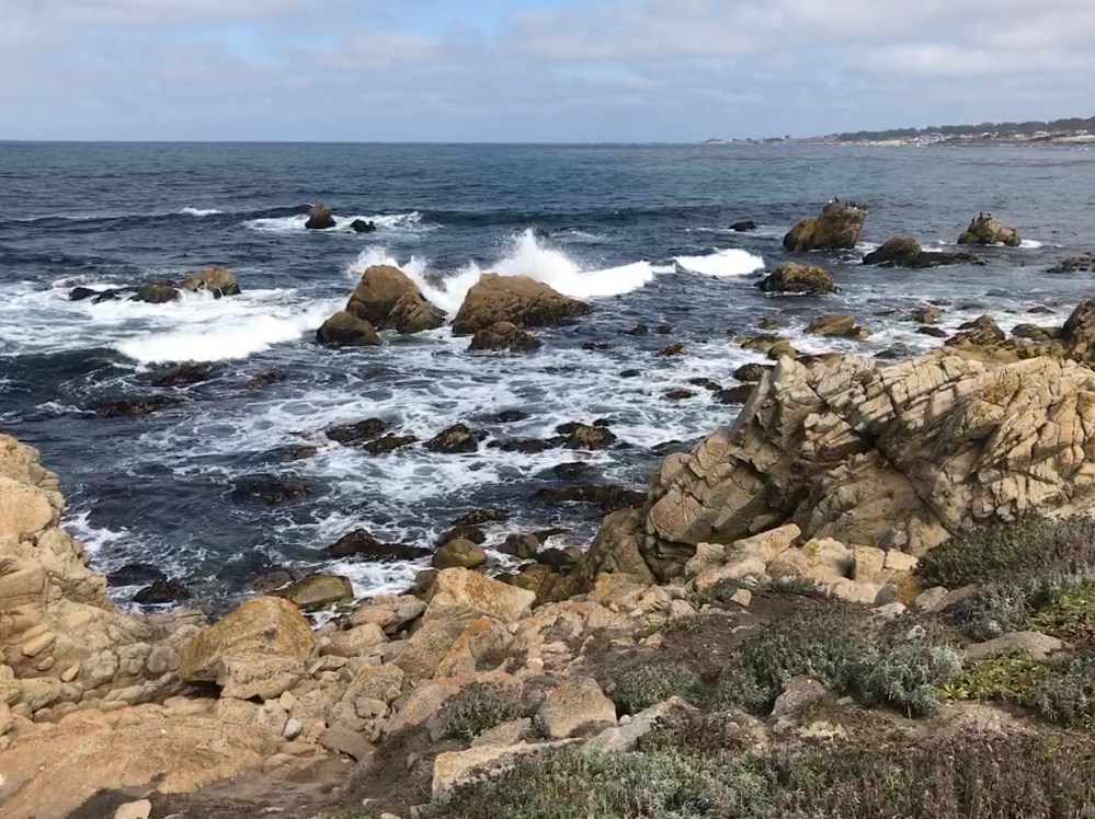 09DAD141-5BCC-49FB-8E84-E9B6C0599D13