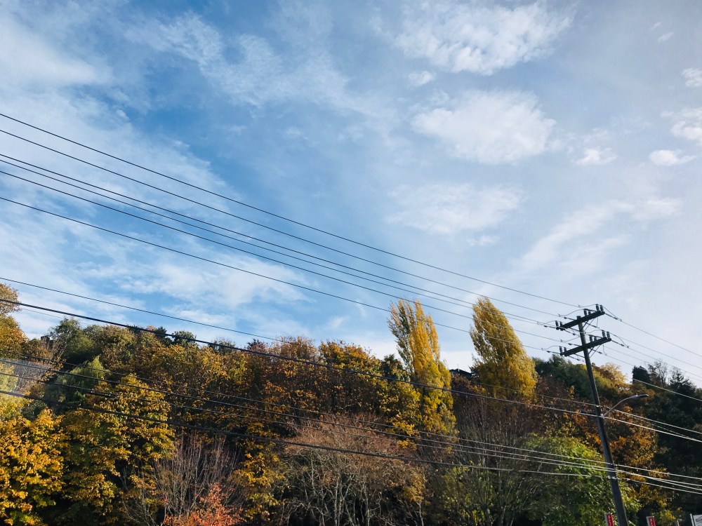 0A3F1531-9E7C-420E-9B34-239249F06DCC