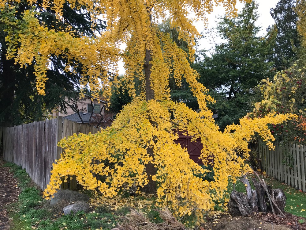 0B3F1C03-2707-4519-8B67-789A9C2CA491