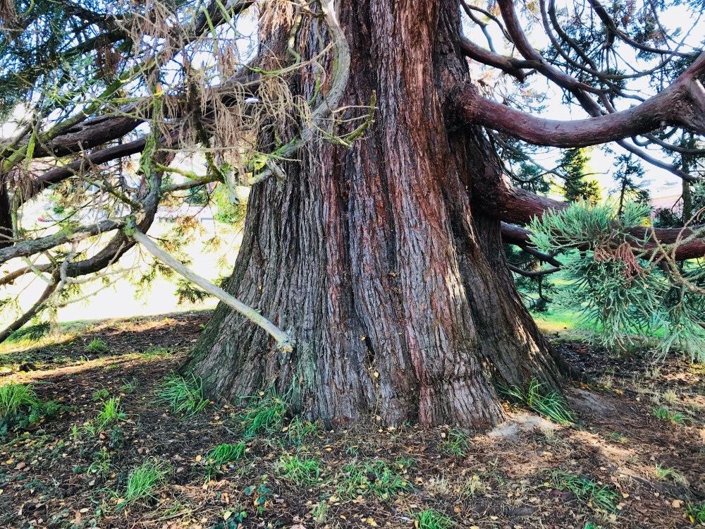 0EFB84E7-CE33-4B9E-B429-CCD42837D43C