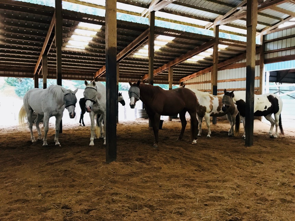 0F6682CC-E9F8-4FD9-8F18-7F49518459F4