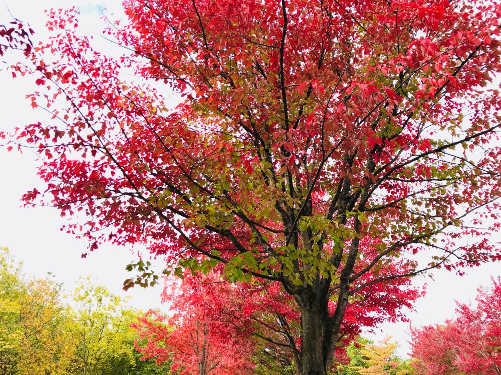 10D3AFF4-4BE8-4A34-BFC2-CD977EDE5CFA