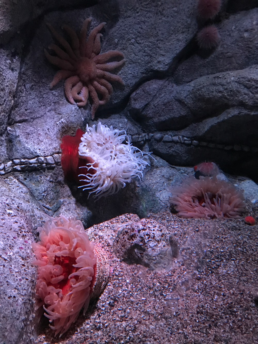 114FF6CD-AC3A-459D-AA6C-4AC6839D0A0E