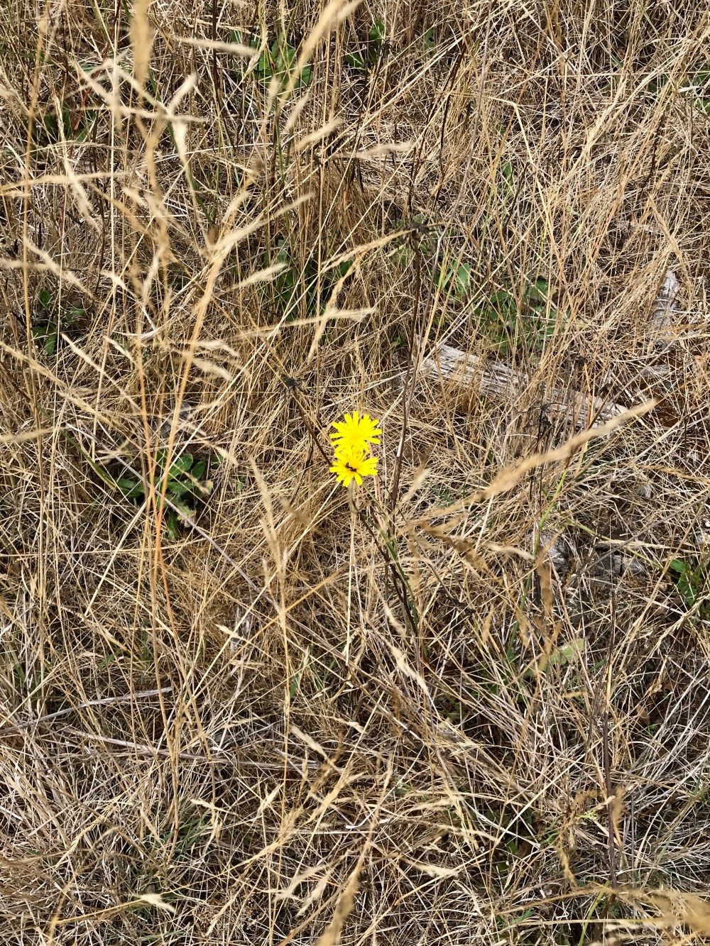 11D7F6D3-1969-47A4-B4C3-741ED2CAF4F1