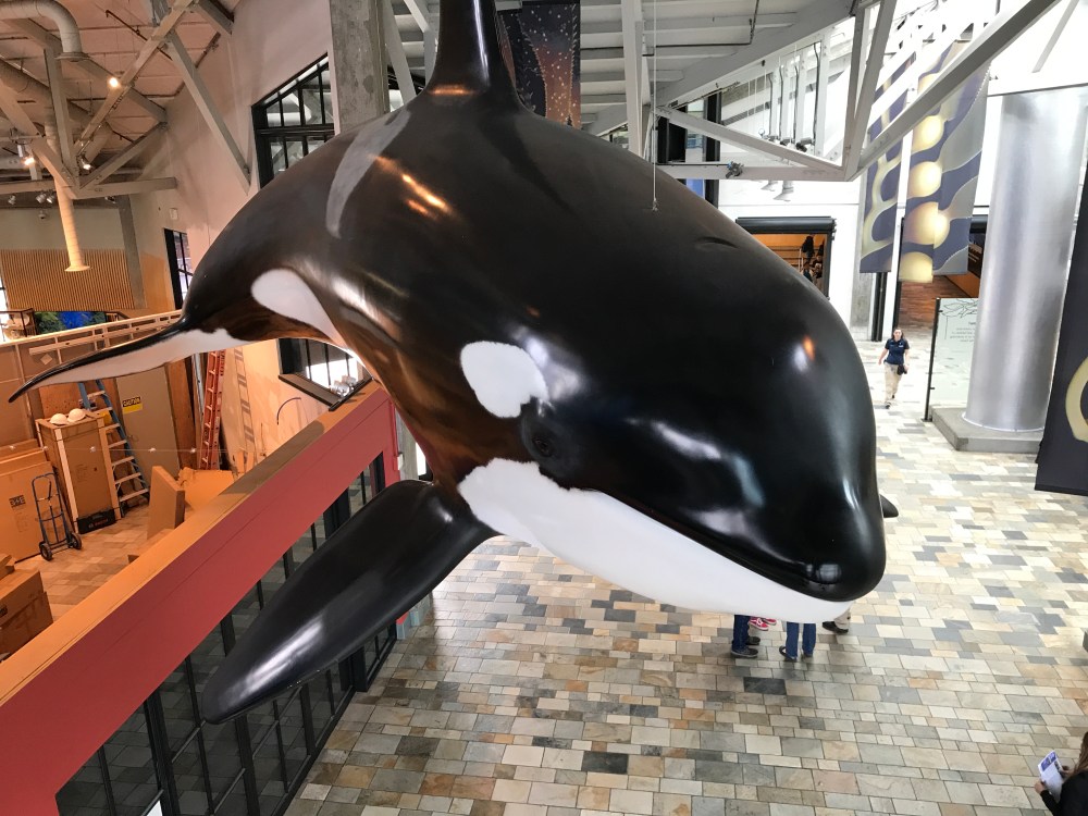 12A0E499-D368-4973-AD6D-6FDEEF62379E