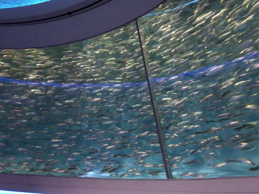 1842D028-1628-4637-BD89-A25CEB14C0BF