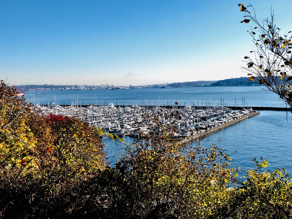 196187F7-D061-441B-8D30-EA33CC689A8B