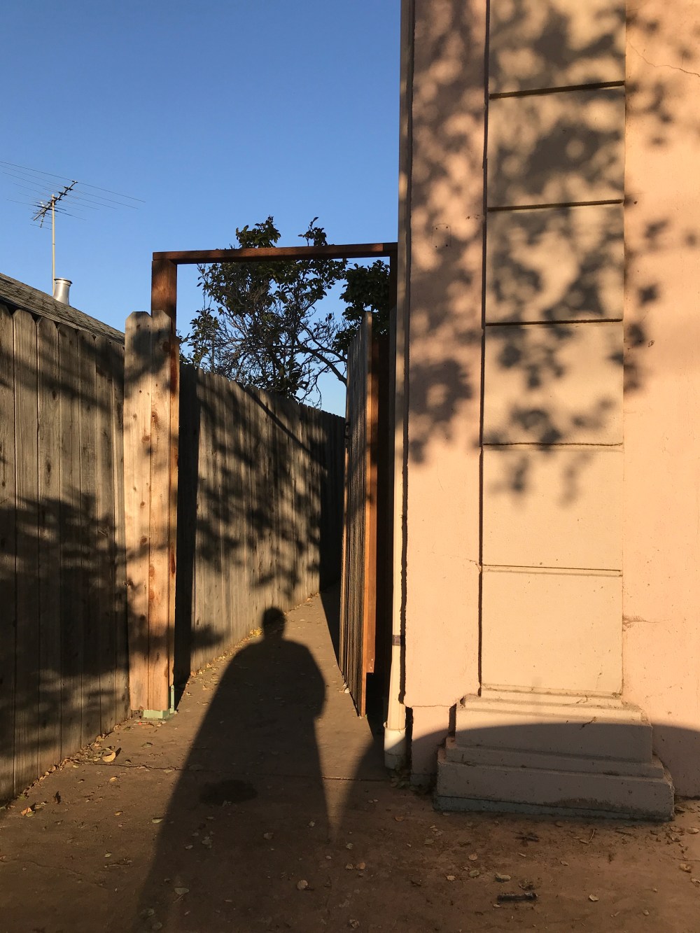 1AD0C853-F2C9-4C77-B923-DDB2707EEAB2