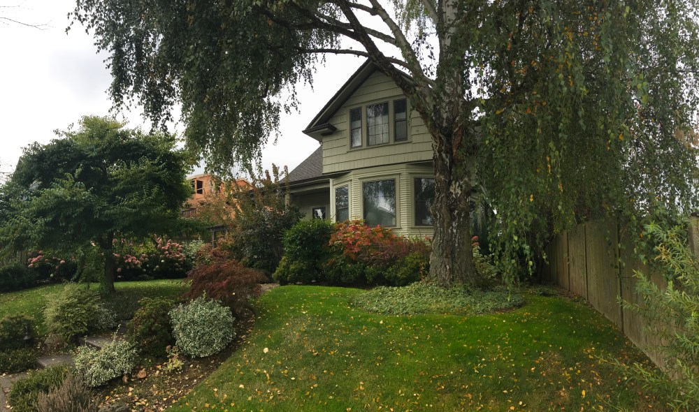 1B91CE55-C4CB-45C3-83E9-1F499F6BC7CB