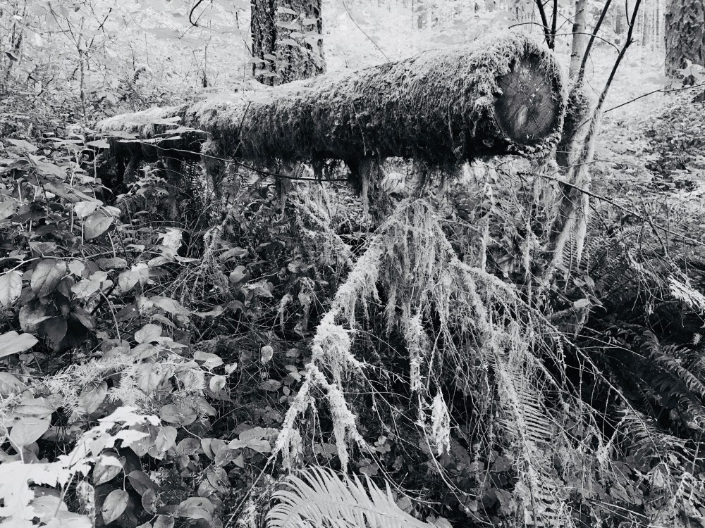 1BD1A6CC-2B5C-4CBA-B3AB-E9457D2C5A11