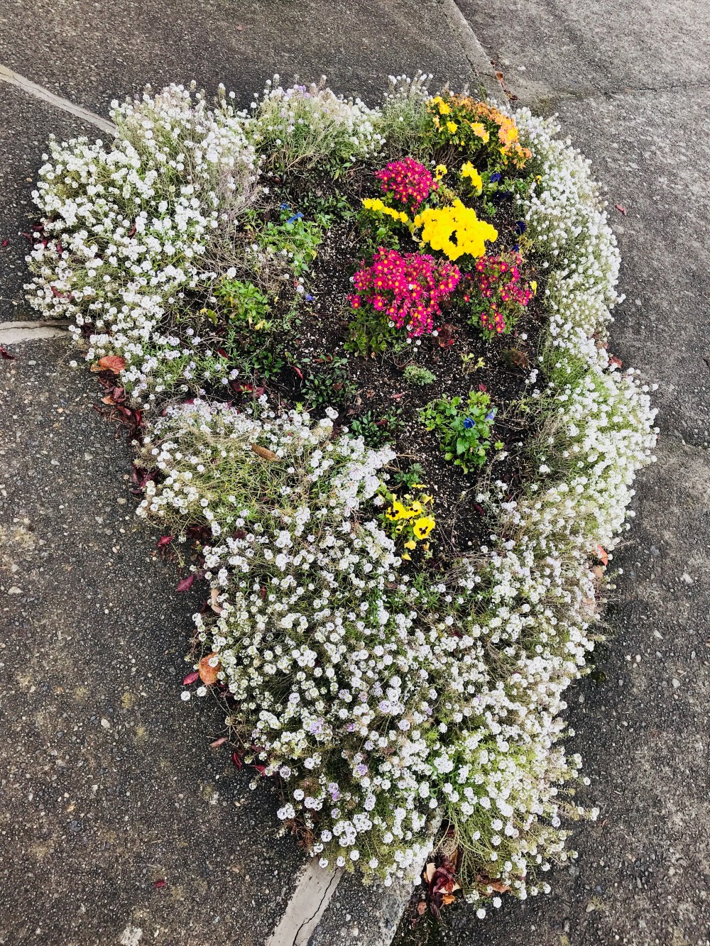 1CB2E4DF-AD7C-4806-A7C4-648627CCAB1A