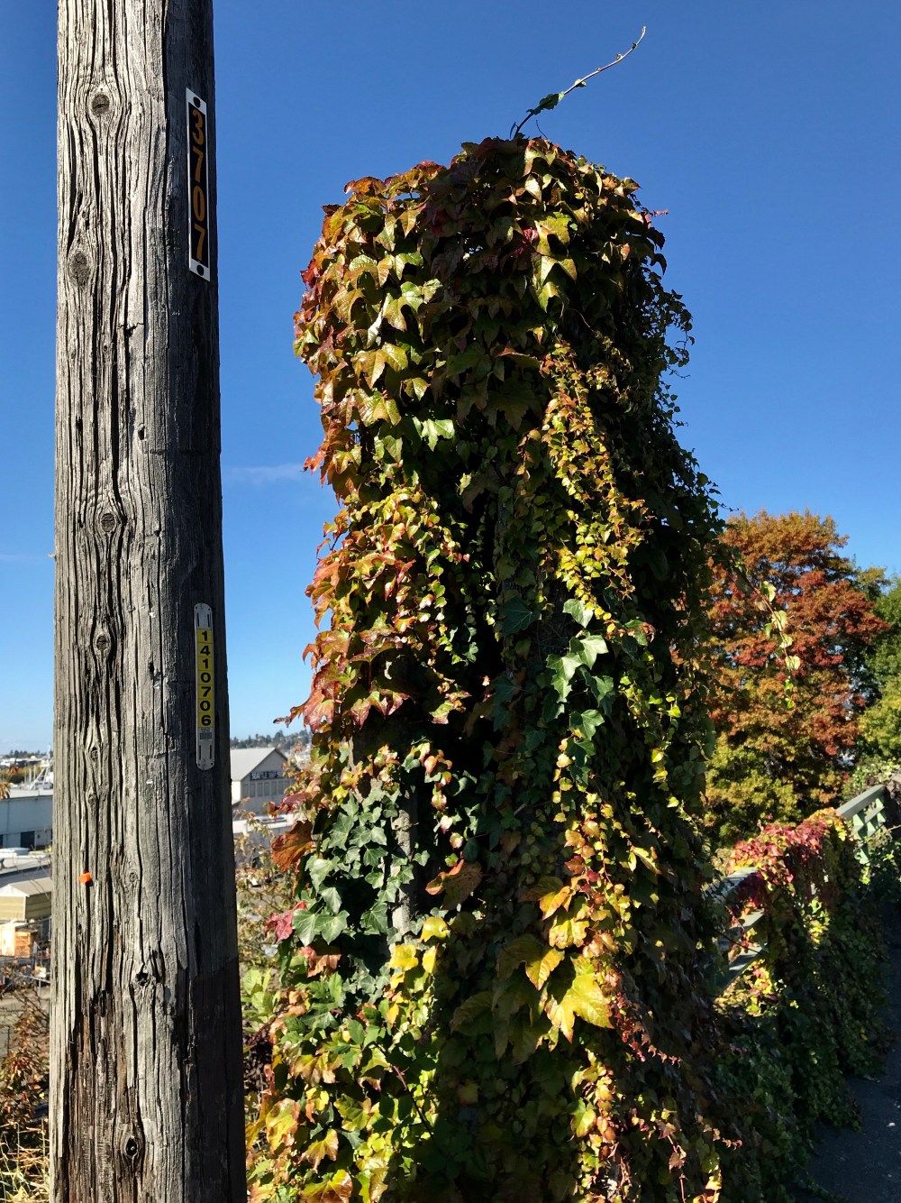 1CC64B73-A2F0-4060-A84B-16218F5DD92F