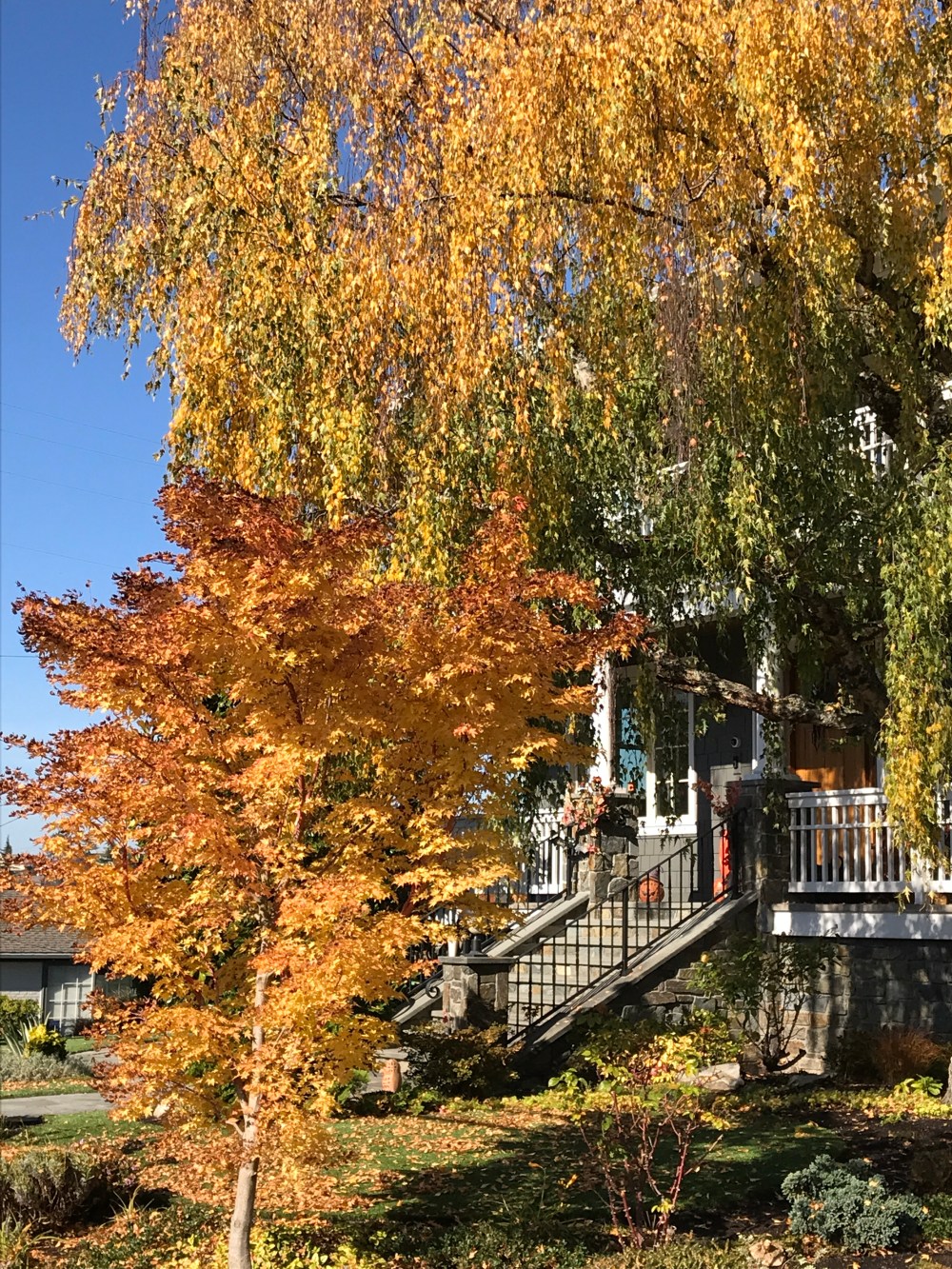 1D88A41E-4C66-4892-9070-784ADC9F4677