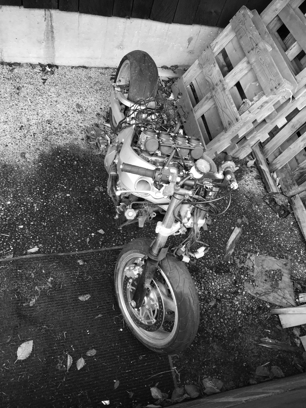 1D8E563F-C0BD-4D7E-8790-D8EFD6254DCD