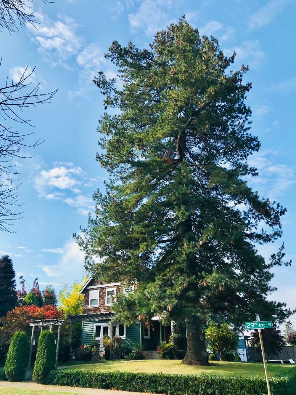 1F3AC5B7-043C-4CCF-A444-EE90388A8281