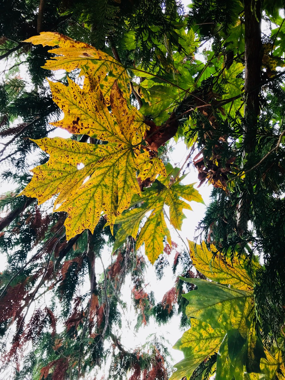 21B72EED-C8F7-4F10-9F46-A859C051EB3C