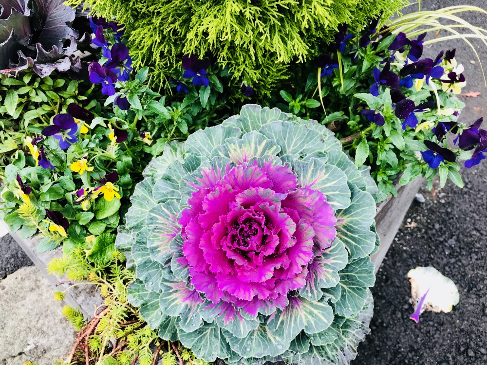 22429AB9-1DD1-4867-AA8D-0CC348EC3E74