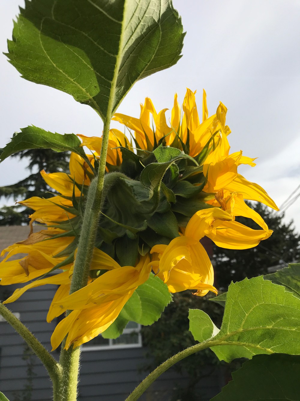 224EFF2C-636F-4F30-80C1-B7E7B70516CA