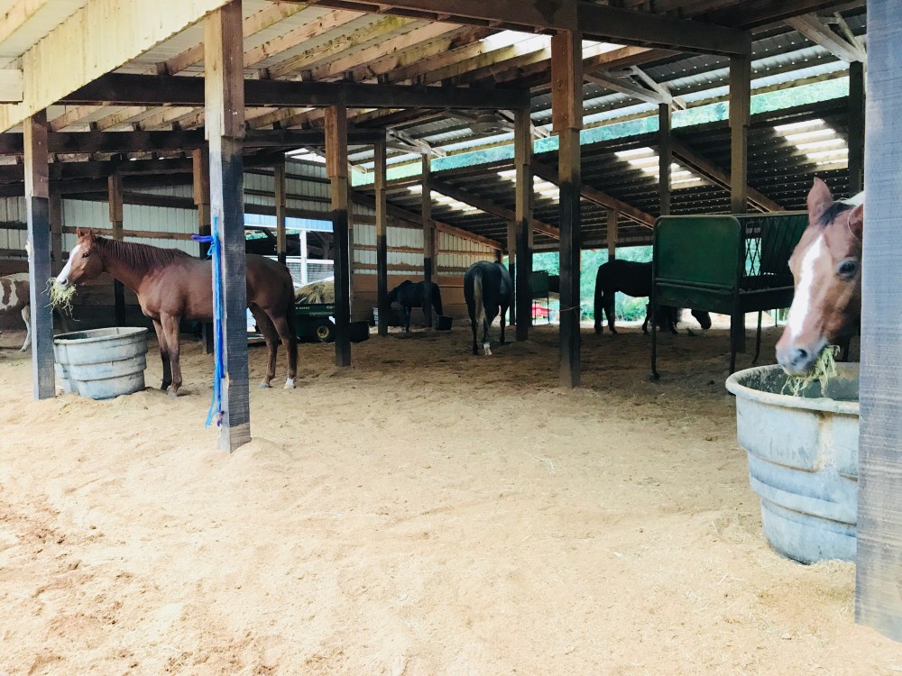 24C4D768-AE20-47B4-A980-CB8EC4D5BB66