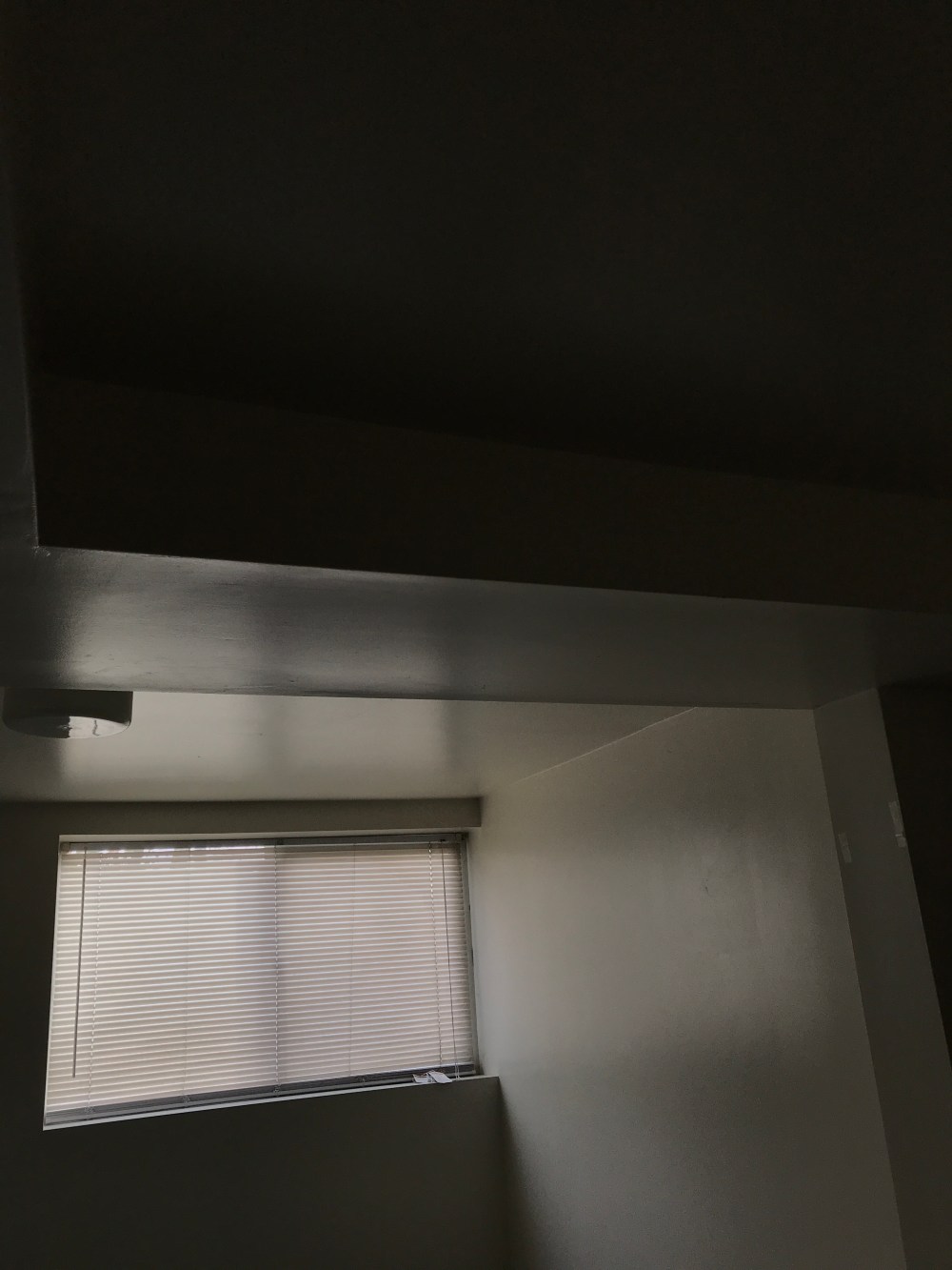 2881CB78-266A-4A02-A077-39696EB9116A