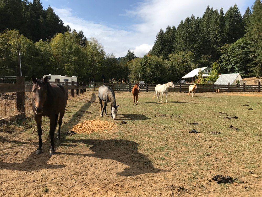 2B0E5C7F-A5DB-4506-92BA-E8EFB114F8D6