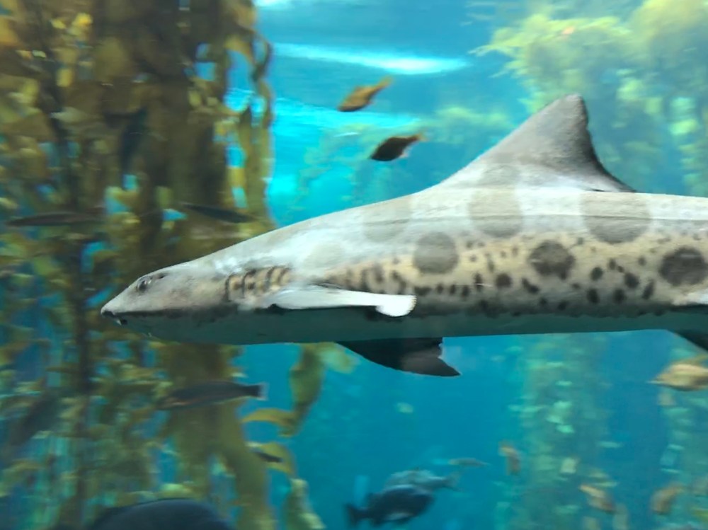 2B6A6CE3-76CE-4B21-B23A-1A5C5274DC06