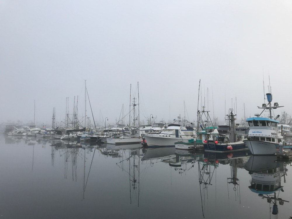 2CFED0B0-1B4D-42C4-8B8F-4BBE362FDE93