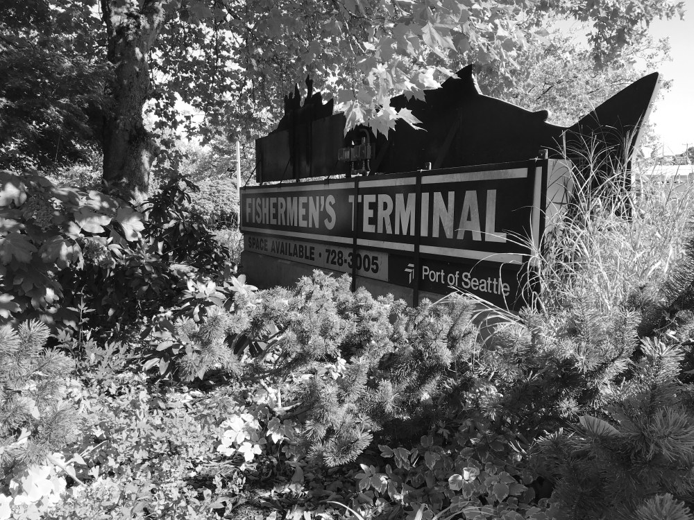 2DEFC59B-5B25-4114-8202-5C2A668CEB46