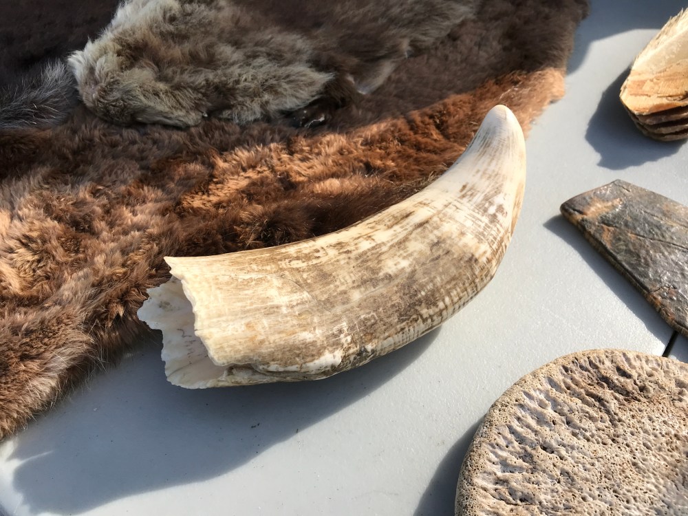 3254F65C-8795-4637-842E-7C3626EE06D8