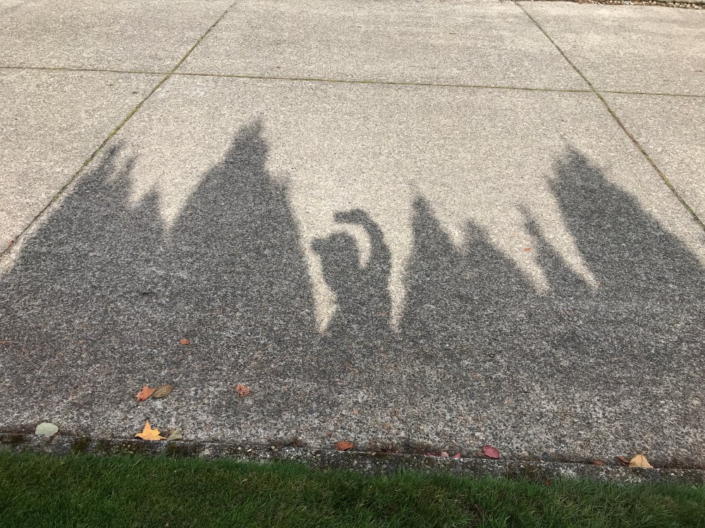 339DCD2D-BB74-41F2-8487-5104FAE45123