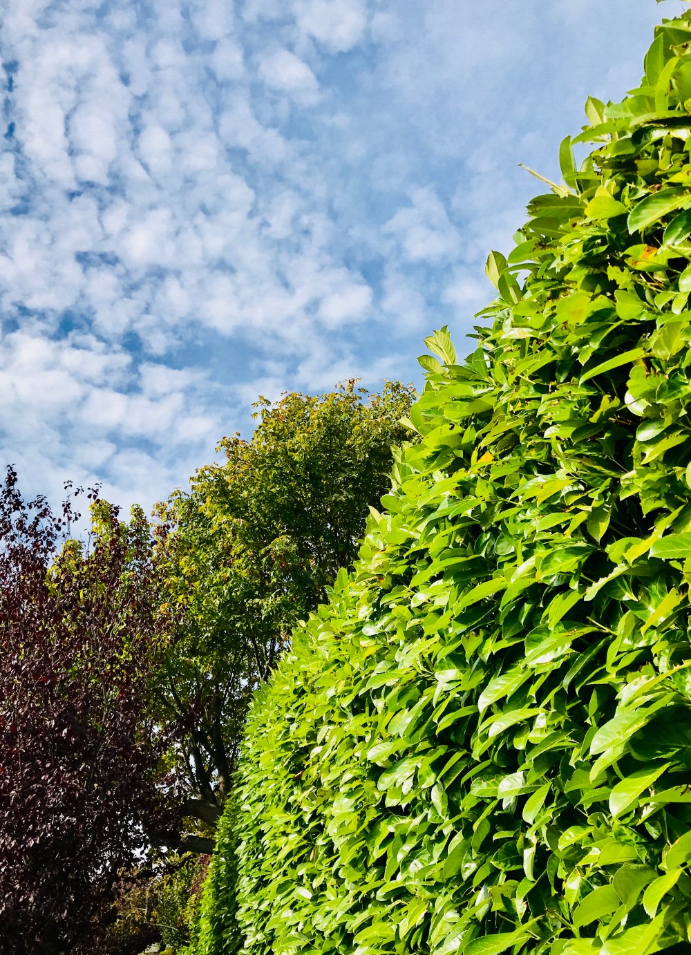 35B0FFD1-D370-44DC-B142-BAB120274151