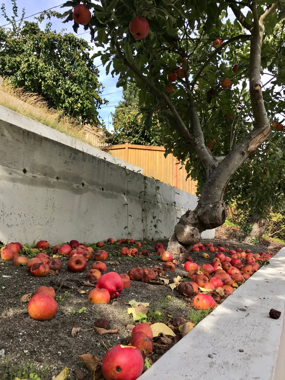 3634C957-AC98-4380-A3E1-805750CD5D81