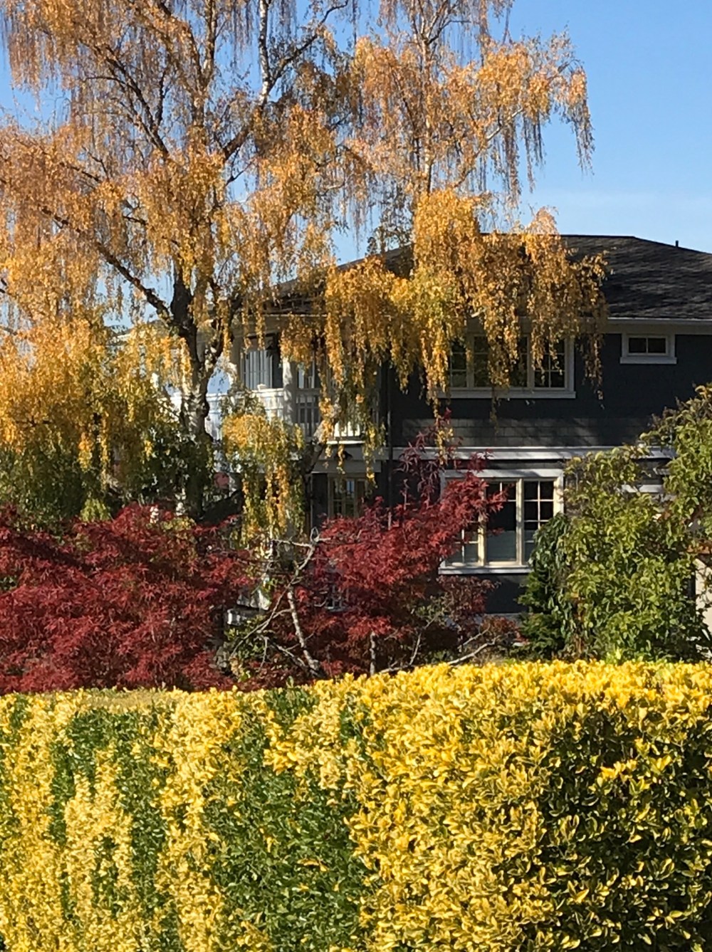 3782C514-1A49-4E24-BDD2-5A0852BC7FA0