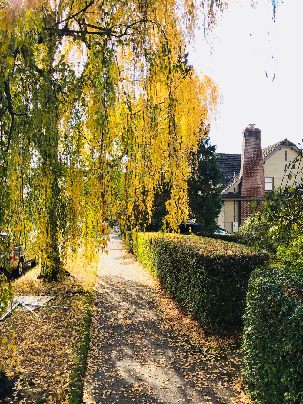 38759A4B-82CF-4996-9F14-B8340BB5F05E