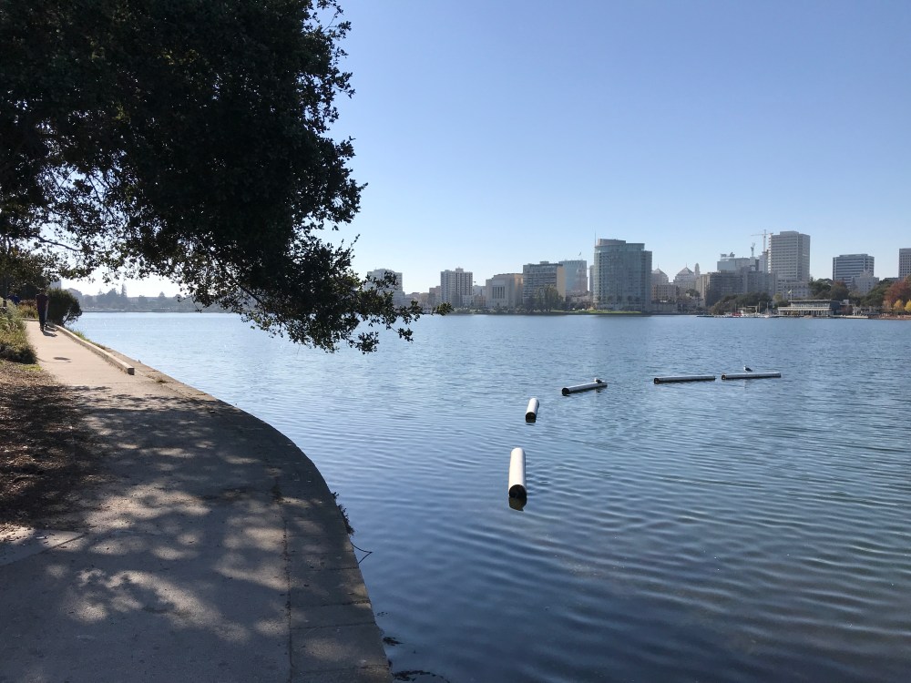 3AC2F799-3E85-45CE-8F3E-6DF08EA0D2C5