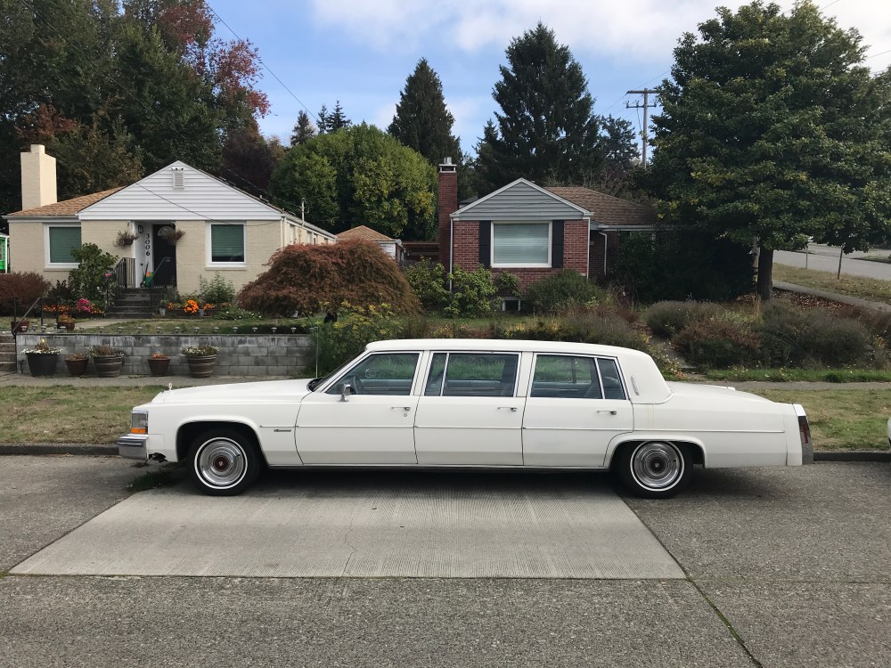 3AD47202-4CC5-4B2A-8E2C-874C89273929