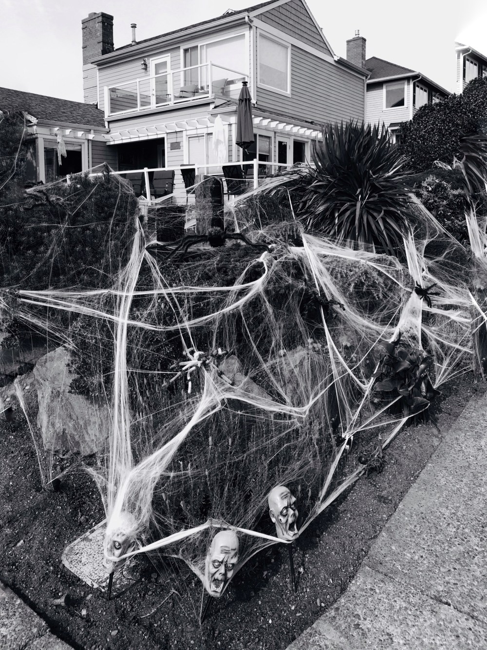 3B410FDF-ABA3-4218-BB39-93696EE44DC6