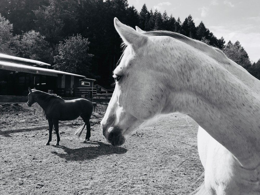 3BAEA4F1-E6F1-4629-94F4-E74580DAB6C0