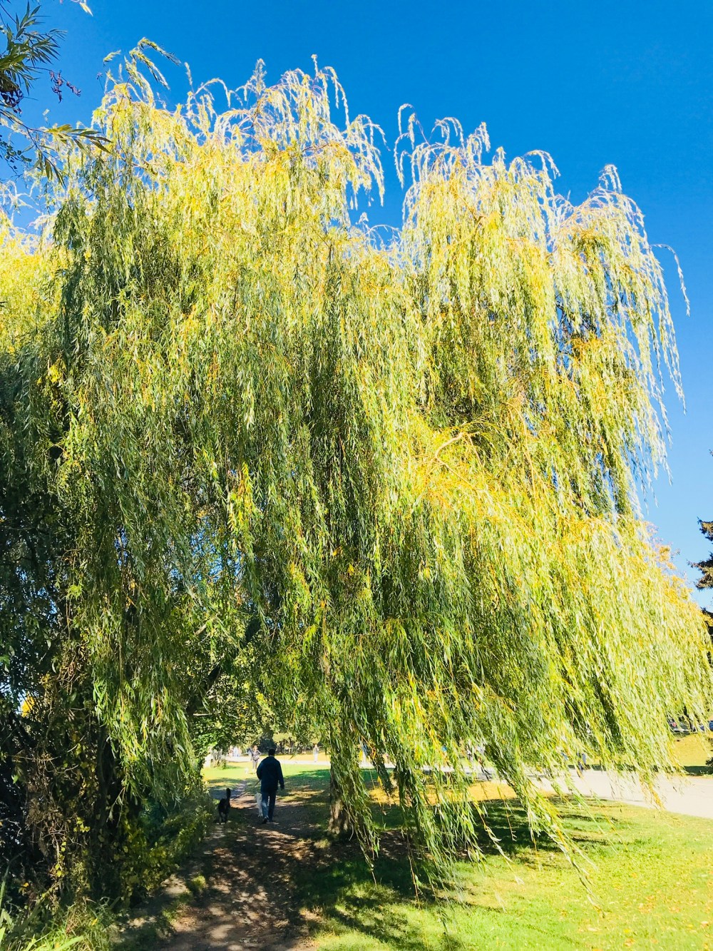 3C6B633E-7120-4592-BA71-FBBE79461051