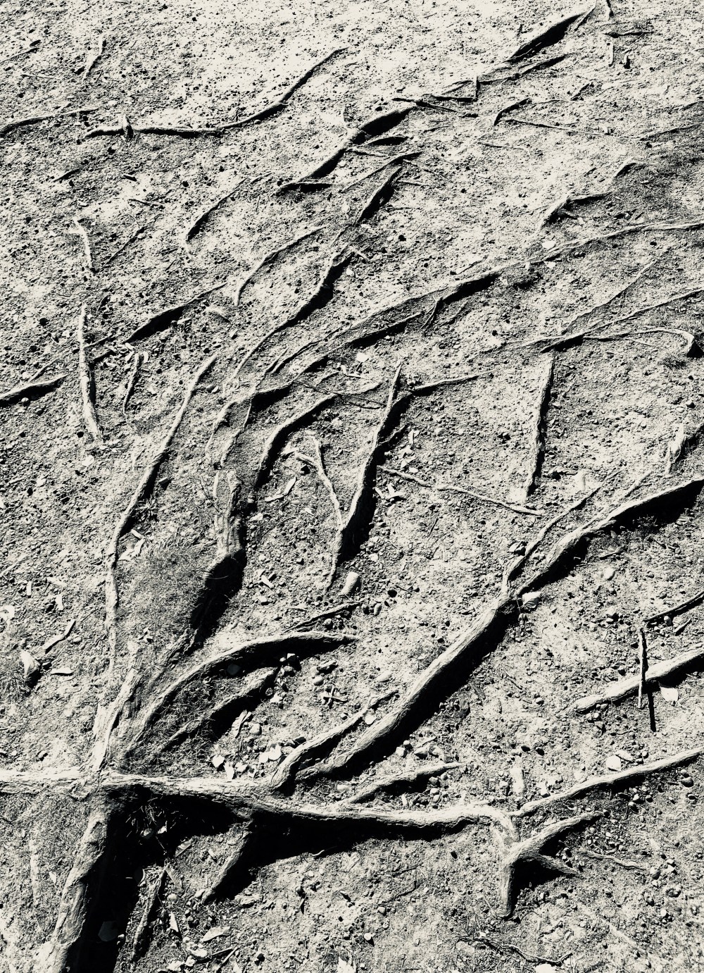 3CC66D7C-9907-49D1-BF6E-38A9D2A88C95