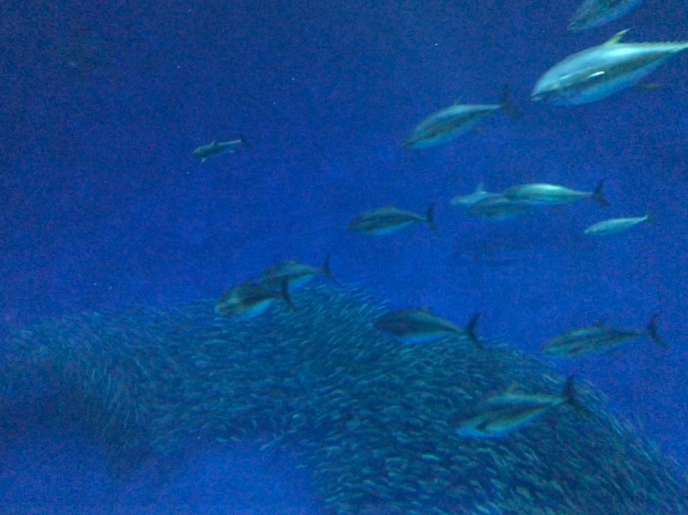 3DE48940-209F-4F51-969F-5E0A1CCB9193