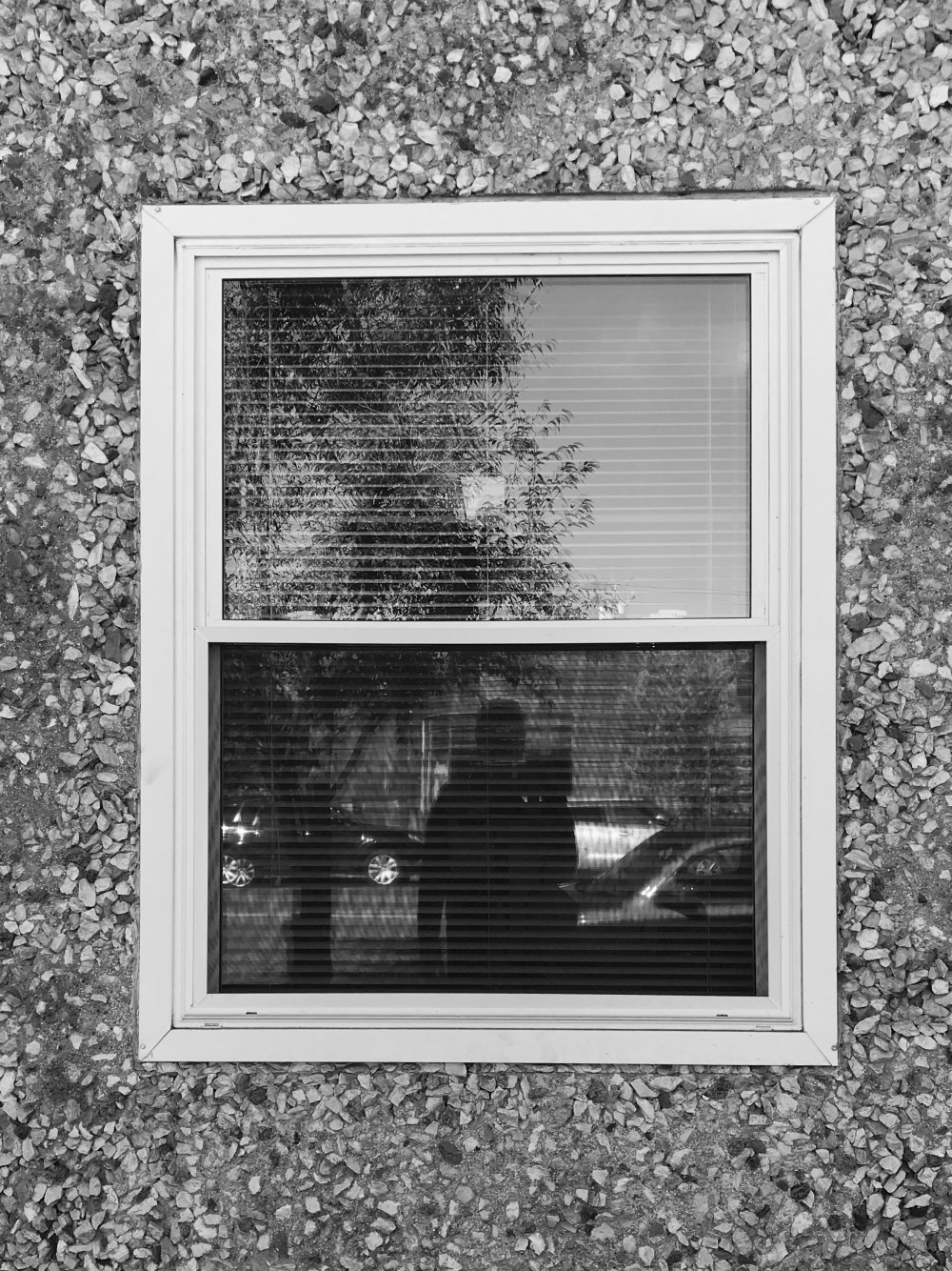 3F30F15C-5A83-41A0-95A0-6D424148BDC1