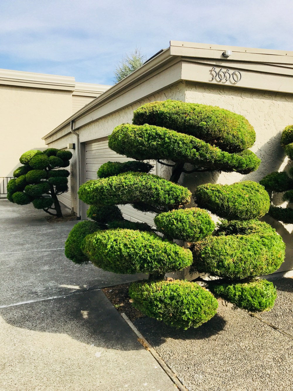 40EFF1C1-901D-485A-93D2-A0EE1C69B01E