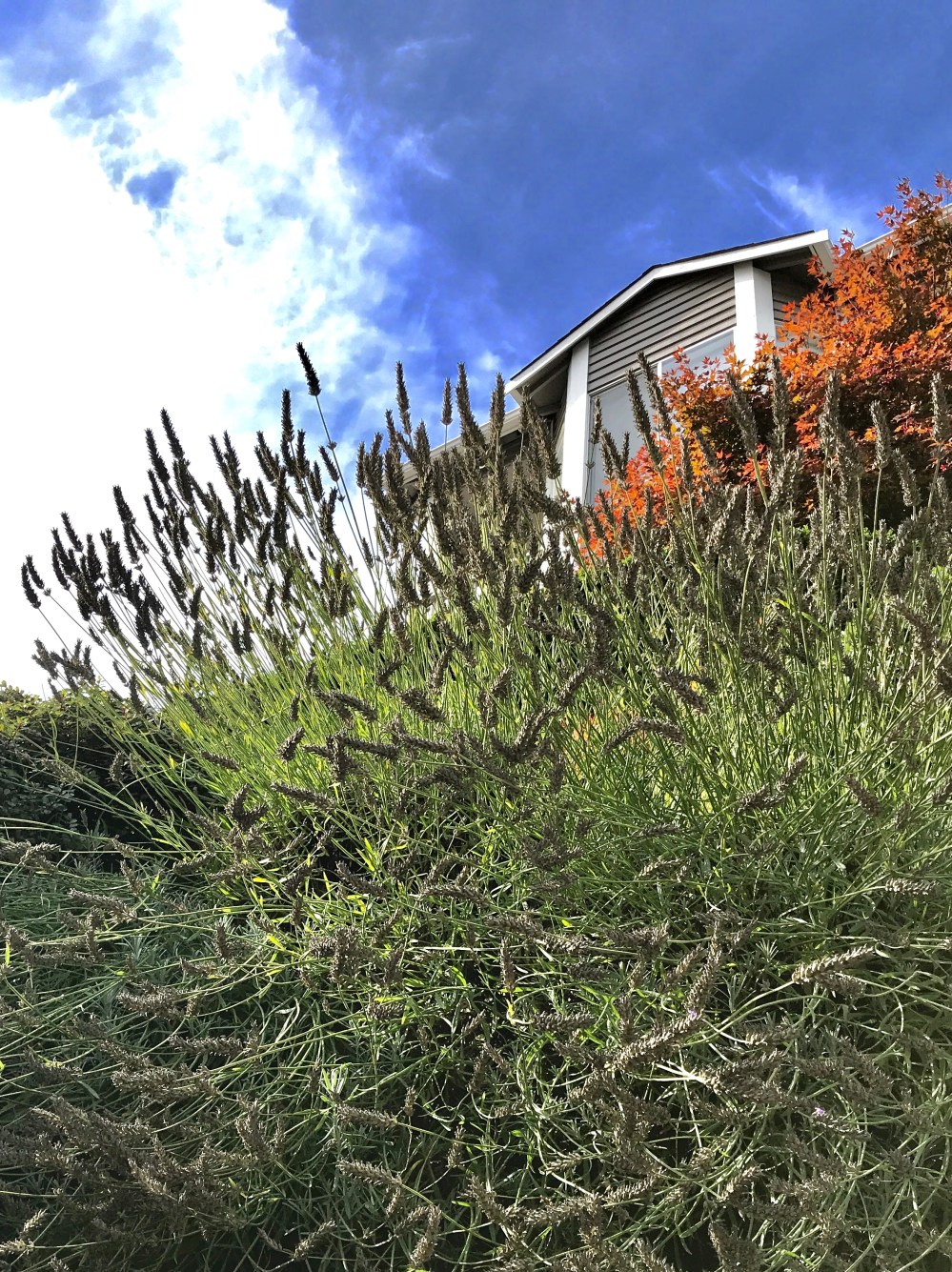 44477A00-BCB4-42B9-B908-4EE9C984F56B