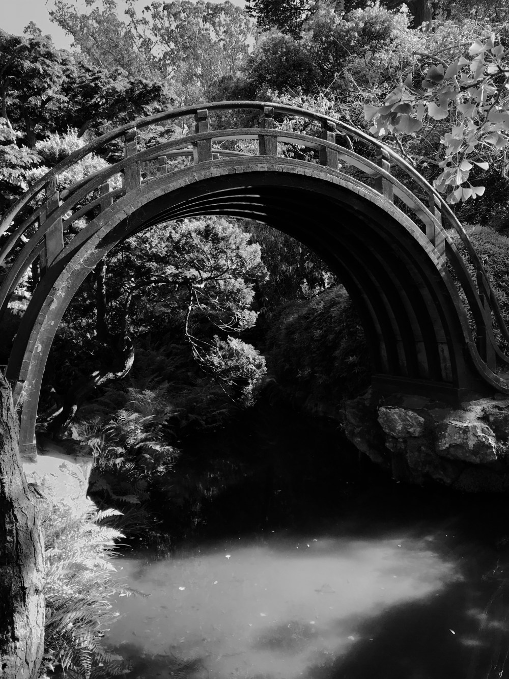 45361C50-E0CC-4907-A8BC-0C43955338A7